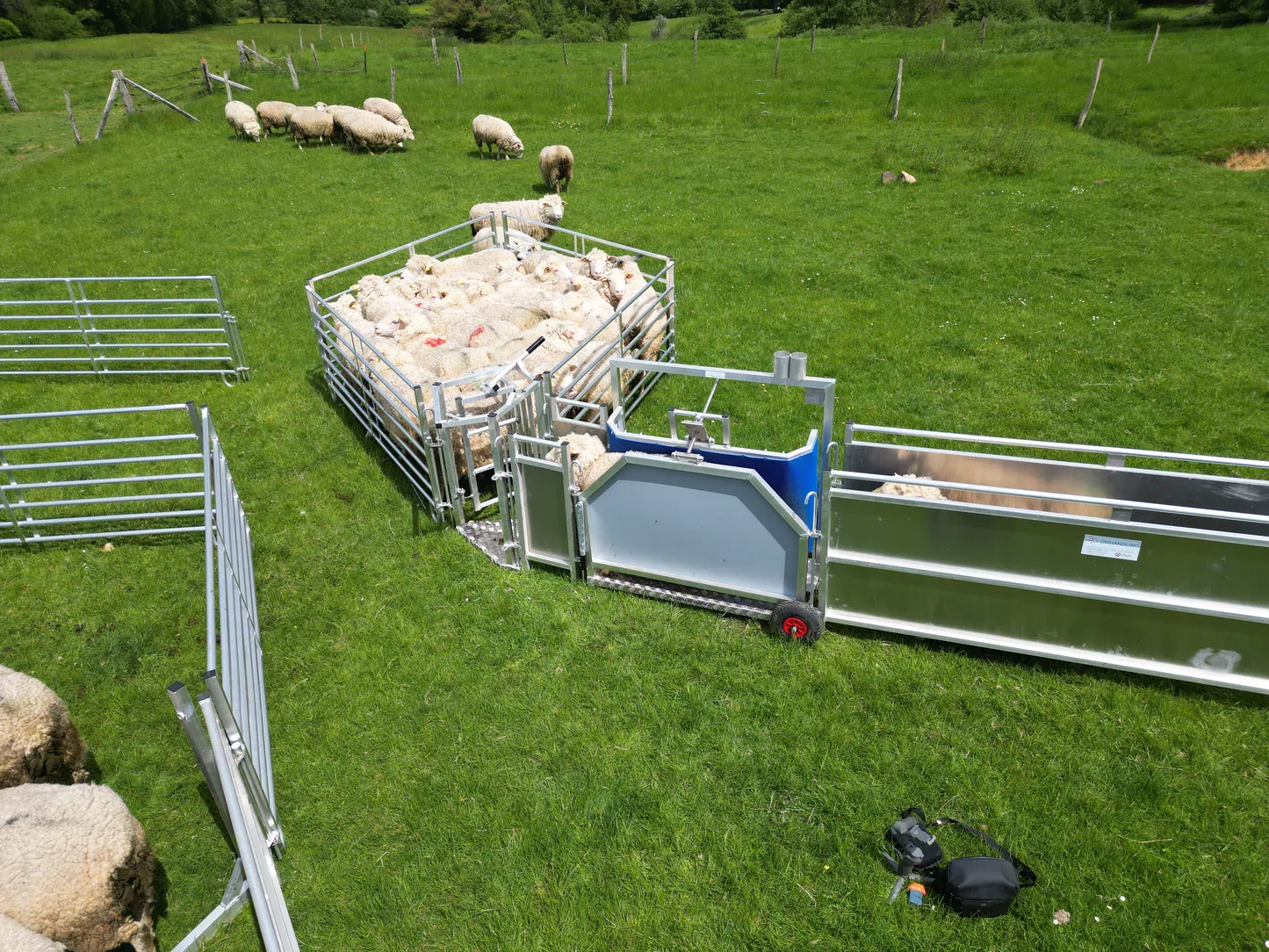 Équipement de contention aluminium pour élevage